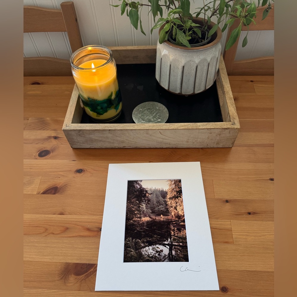 New Original Signed Photography